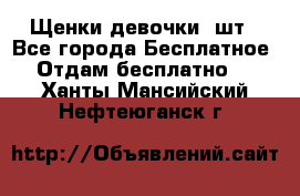 Щенки девочки 4шт - Все города Бесплатное » Отдам бесплатно   . Ханты-Мансийский,Нефтеюганск г.